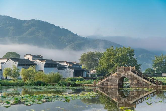 杨紫新剧家业取景地曝光,中式美学惊艳不输开封洛阳 第10张 杨紫新剧家业取景地曝光,中式美学惊艳不输开封洛阳 第10张
