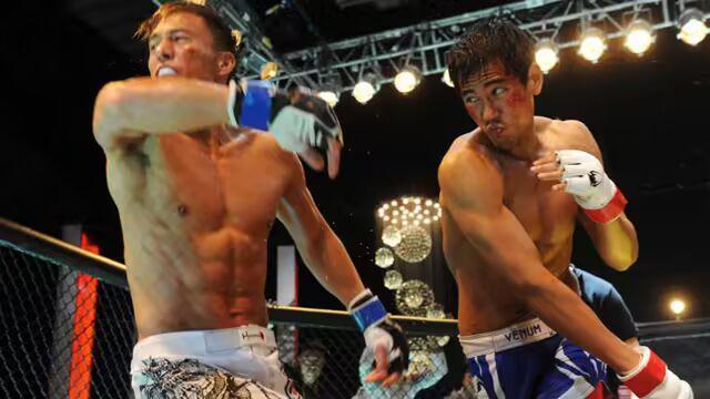 综合格斗电影TOP10:影史最强MMA题材佳作盘点 第2张 综合格斗电影TOP10:影史最强MMA题材佳作盘点 第2张